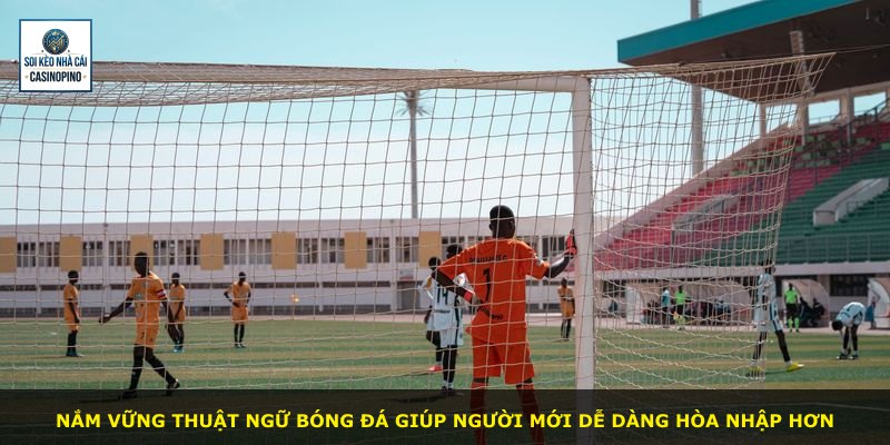 Nắm vững thuật ngữ bóng đá giúp người mới dễ dàng hòa nhập hơn