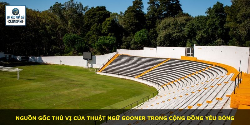 Nguồn gốc thú vị của thuật ngữ Gooner trong cộng đồng yêu bóng