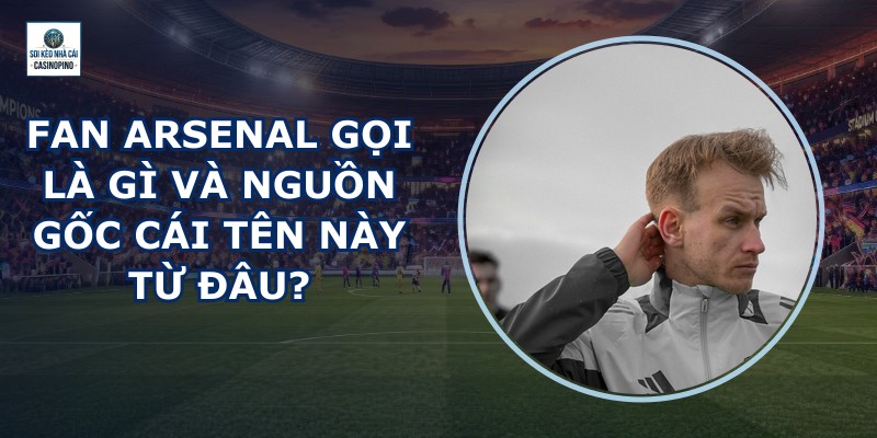 Fan Arsenal Gọi Là Gì