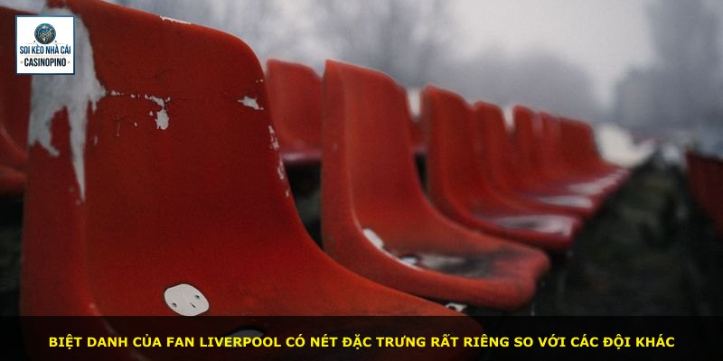 Biệt danh của fan Liverpool có nét đặc trưng rất riêng so với các đội khác