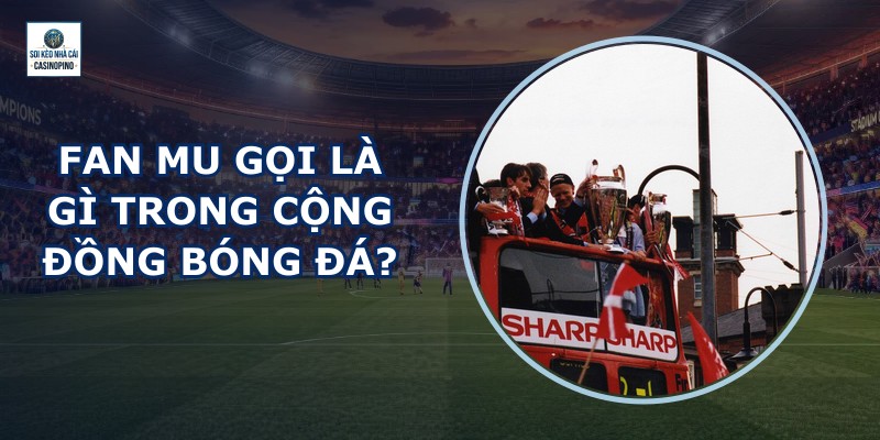 Fan Mu Gọi Là Gì