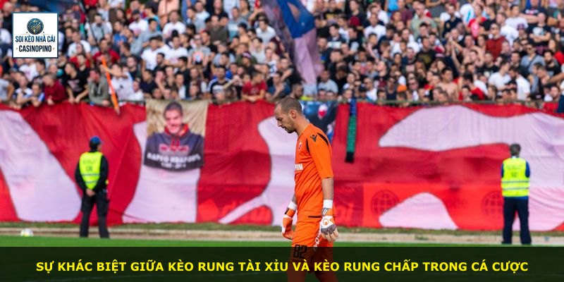 Sự khác biệt giữa kèo rung tài xỉu và kèo rung chấp trong cá cược